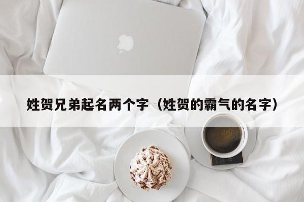 姓贺兄弟起名两个字（姓贺的霸气的名字）